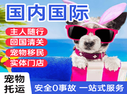 建三江机场快运国际宠物托运 【国